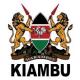 Kiambu County Government  logo